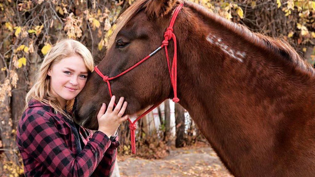 How to Develop Trust and Strengthen Your Bond With Your Horse
