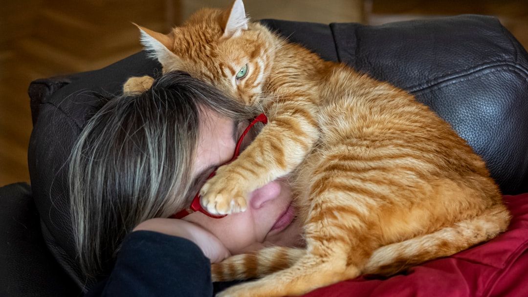 6 Surprising Signs Your Cat Secretly Admires Your Intelligence