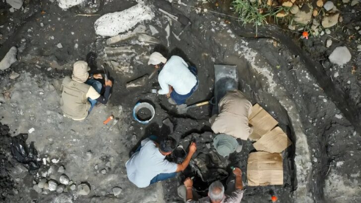Giant Sloth and Mastodon Remains Found in Landmark Discovery
