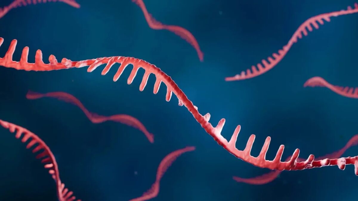Scientists Discover Ancient RNA Molecule That May Hold the Key to Life's Origins