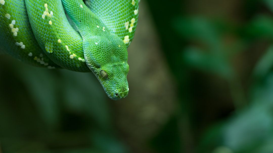 6 Unusual Animal Habitats Around the World You Won't Believe