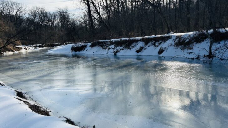 D.C. Melting Snow Sends Toxic Pollutants and Salt Surging Into Local Waterways