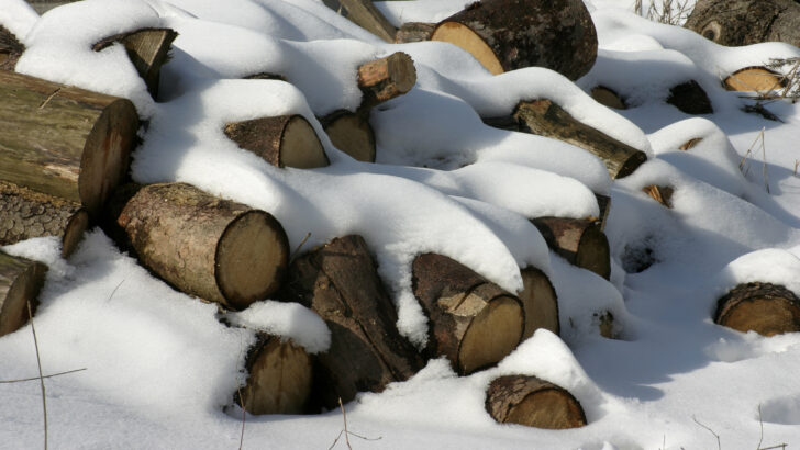 Deep Freeze Turns Firewood Into America’s Hottest Commodity