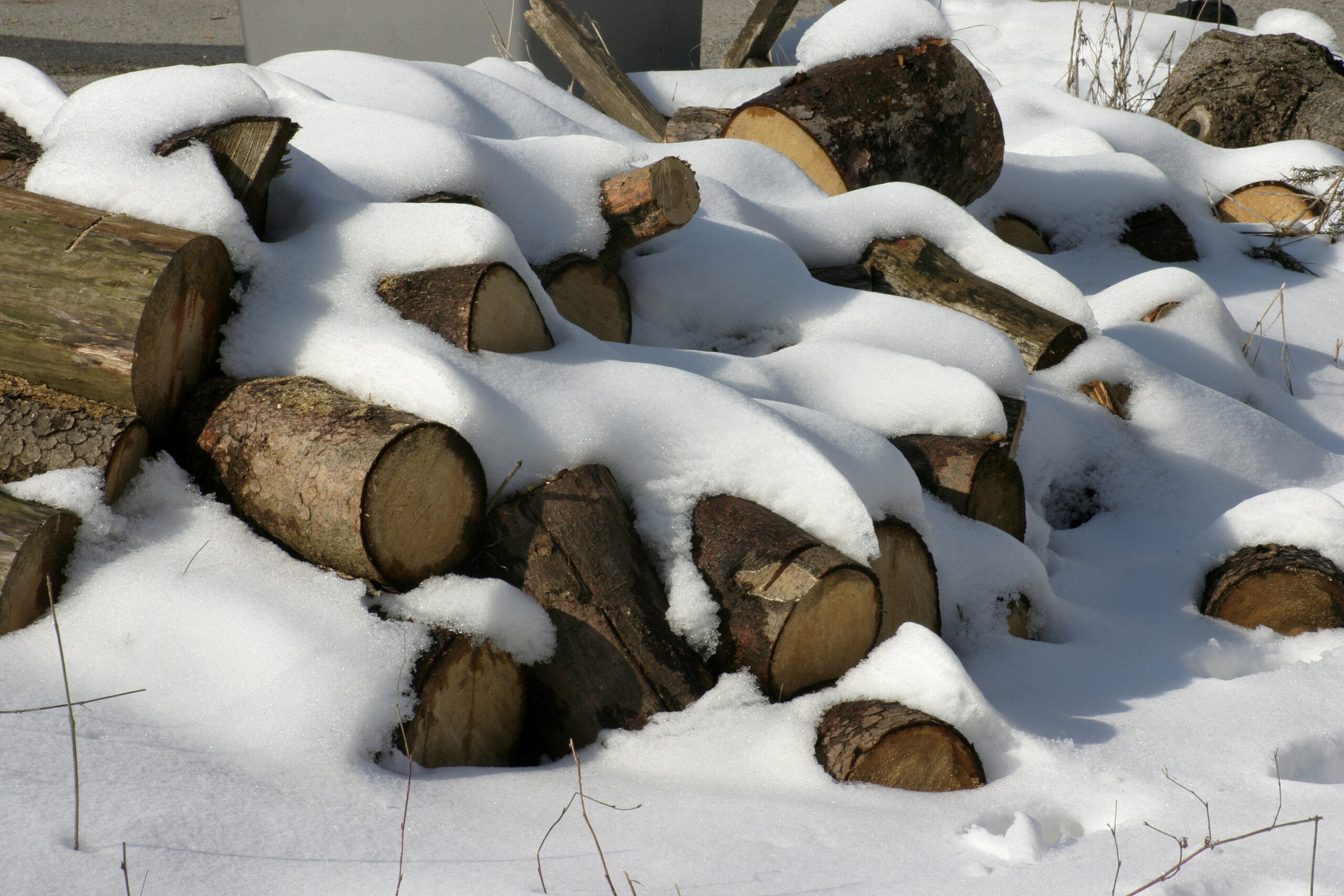 Shivering Americans Snap Up Firewood as Winter Grinds On