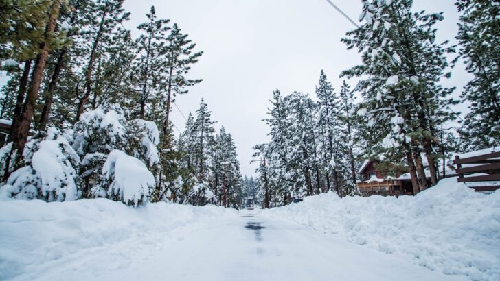 California&rsquo;s Winter Storms Deliver Snow and Heavy Rain to the South