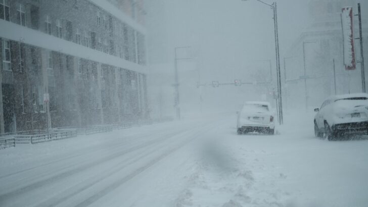 Washington D.C. Deals with Gusty Winds and Slush After Snow Eases