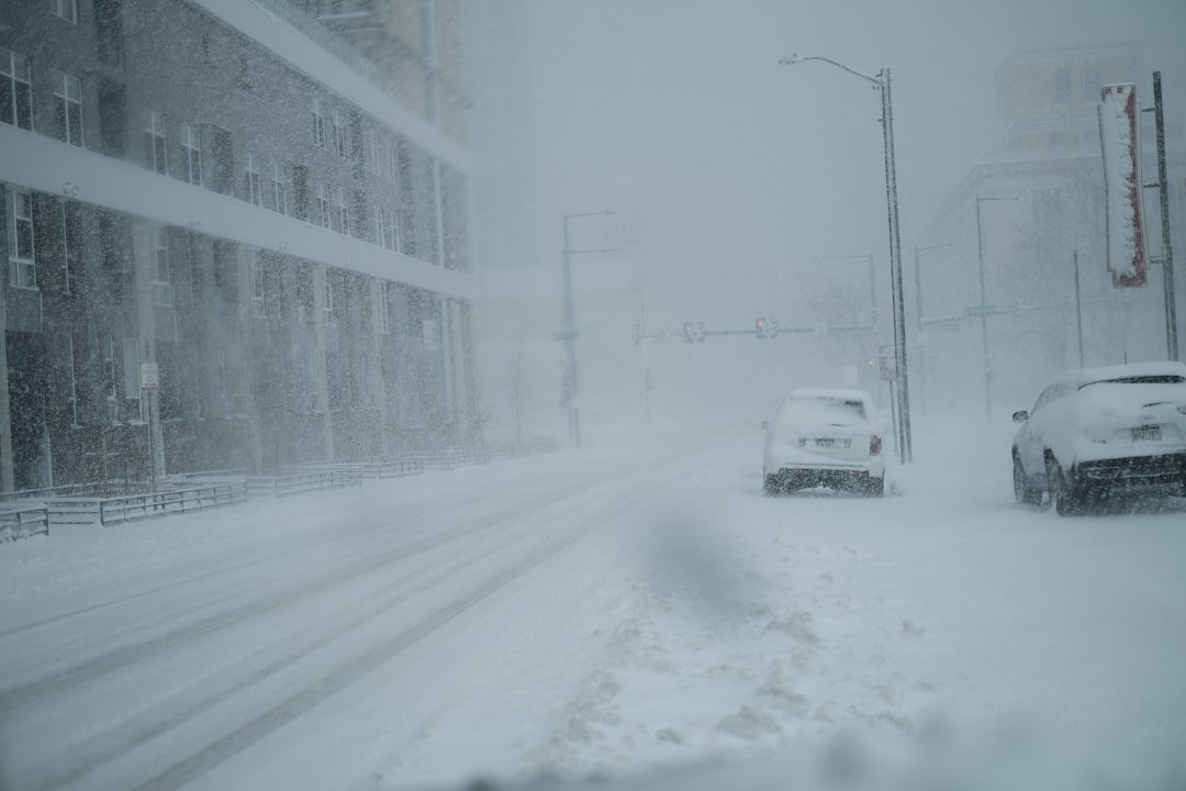 Snowstorm and gusty winds continue to impact DC region