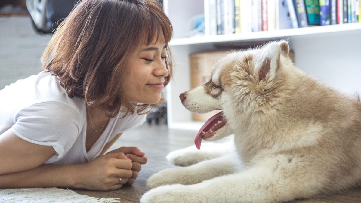 How a Dog Comforts You In Difficult Times