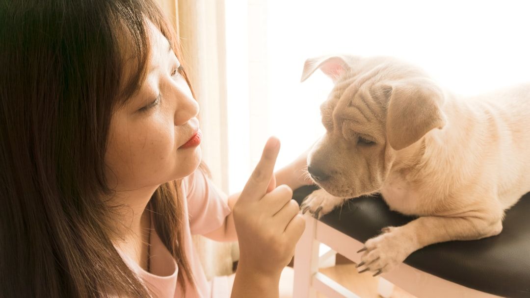 Why Highly Sensitive People Often Have Highly Reactive Dogs