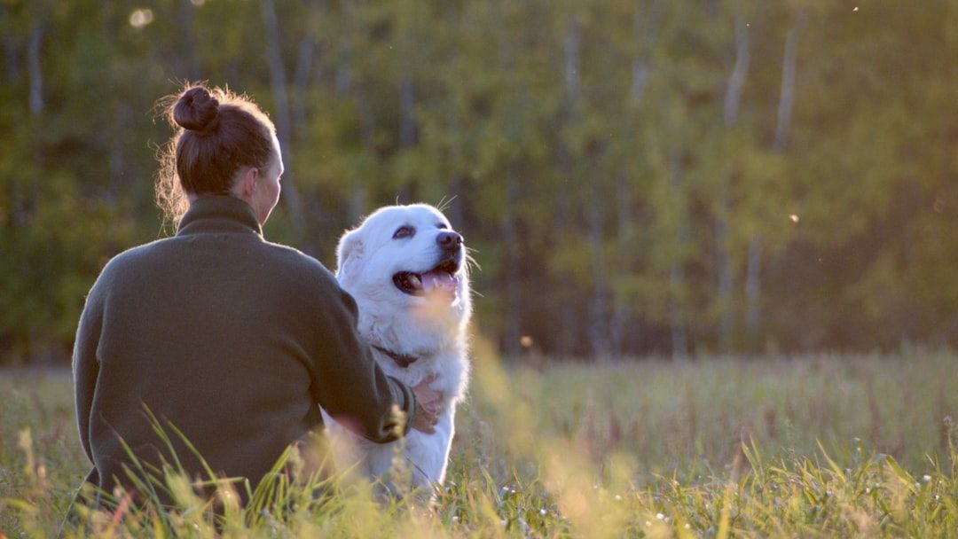 The Disturbing Reason Your Dog Panics When You Leave (Attachment Science Explains It)