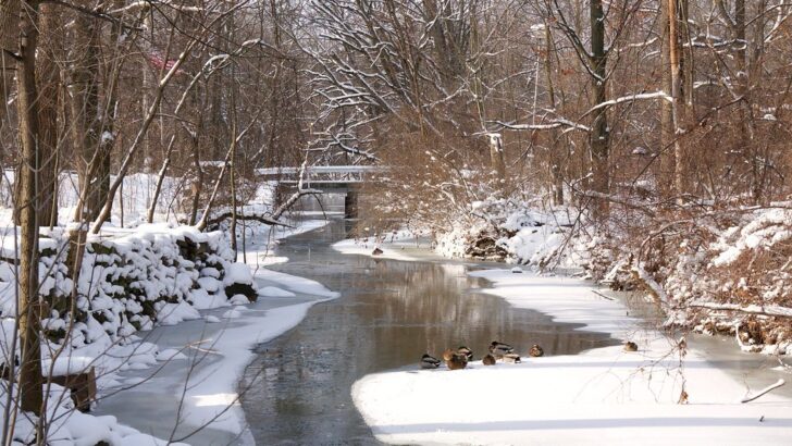 Milder Air Retreats as Colorado Braces for Possible Snow