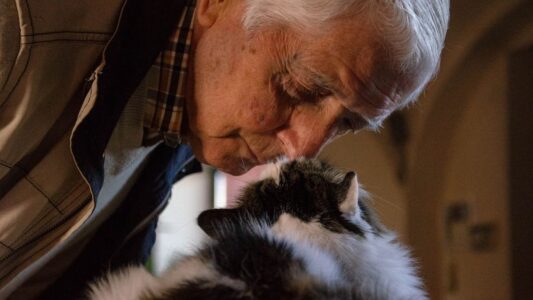 The Unexpected Benefits of Owning a Cat for Seniors