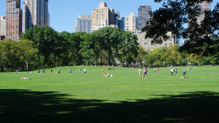 New York Enjoys First 60 Degree Day After Long Winter