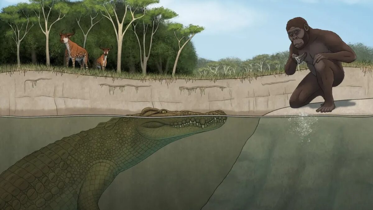 Meet Crocodylus Lucivenator: The Ancient "Light Hunter" That Rewrites Prehistoric Predator History