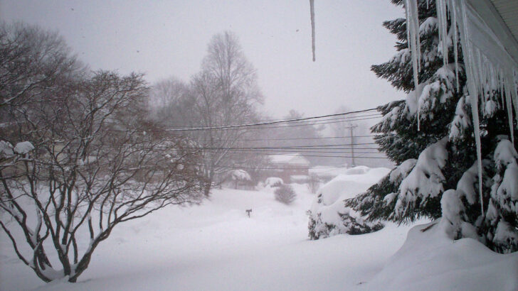 Powerful Winter Storm Targets the Midwest with Blizzard Conditions