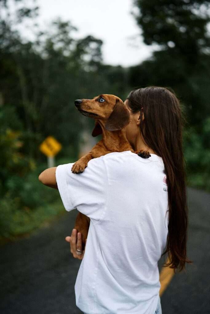 How to Bond with Your Dog