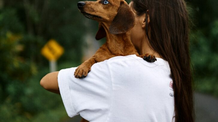 5 Strategies to Build a Deeper Bond with Your Dog