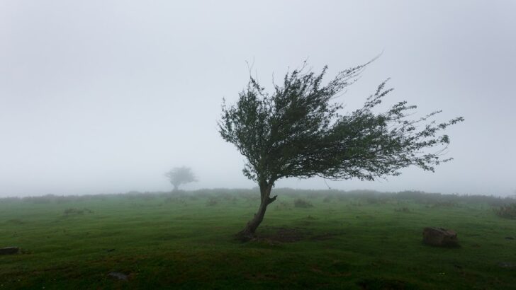 Missouri Braces for Gusty Winds, Storms and a Sudden Cool Down
