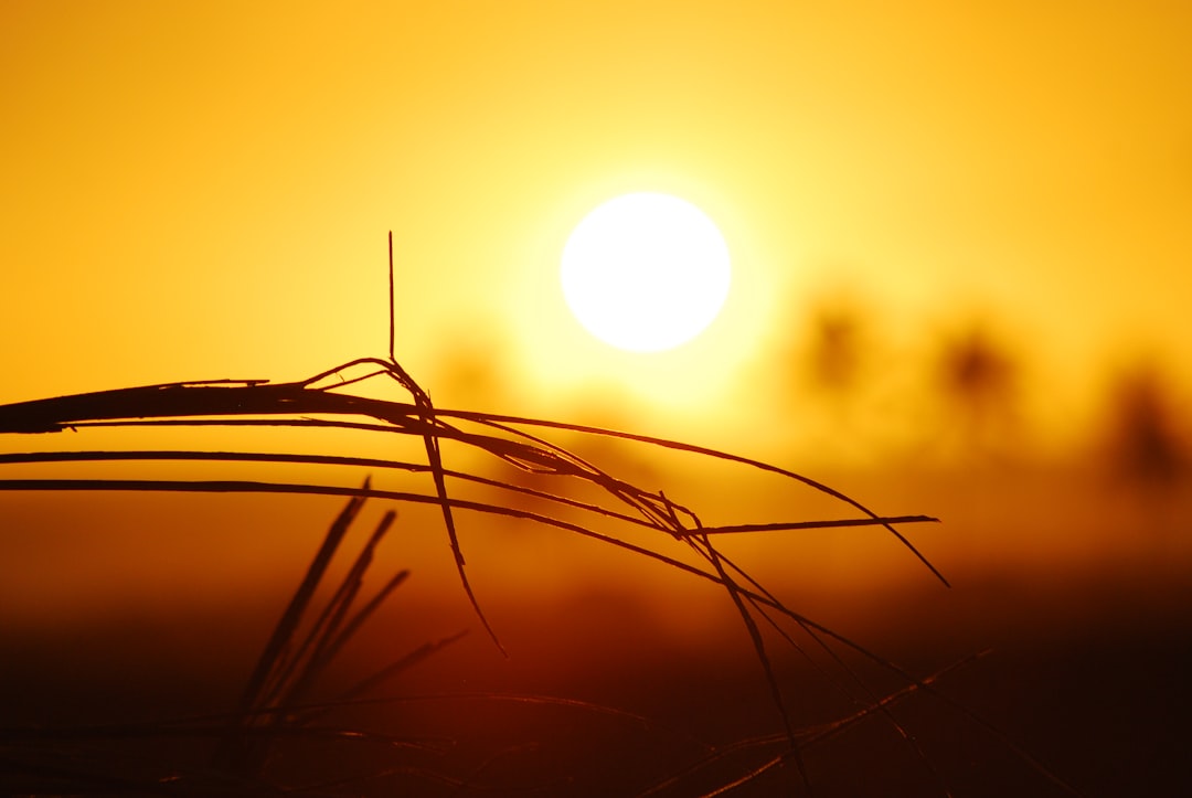 Dallas weather: Temps to soar 20° above average this week after morning freeze