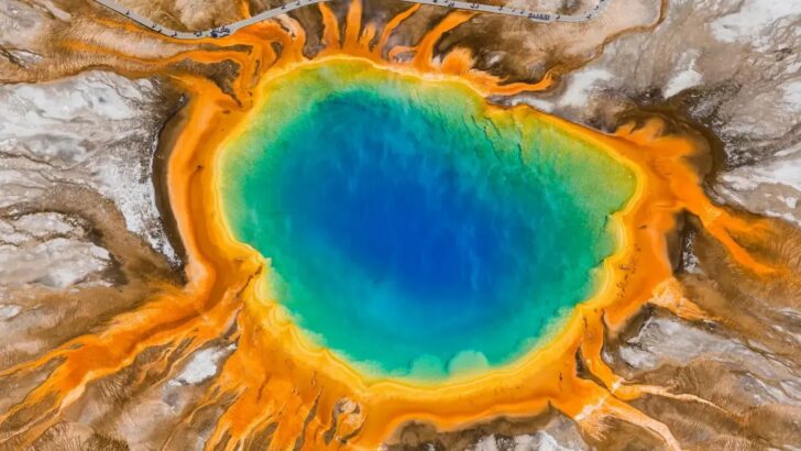 How The World’s Most Extreme Creatures Could Hold The Key To Saving Human Lives