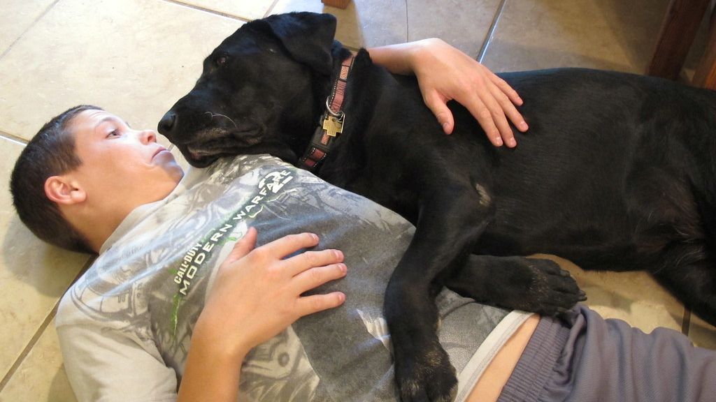 12 Surprising Pet Behaviors That Hint at Their Deepest Emotions