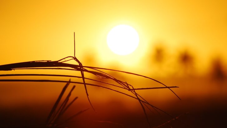 Record Breaking March Heat Nears 95° Across Texas This Weekend
