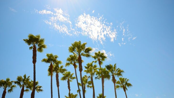 Record Breaking March Heat Grips Southwest Ahead of Friday Peak