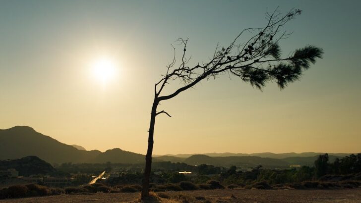 Global Warming Is Accelerating Faster Than Scientists Expected