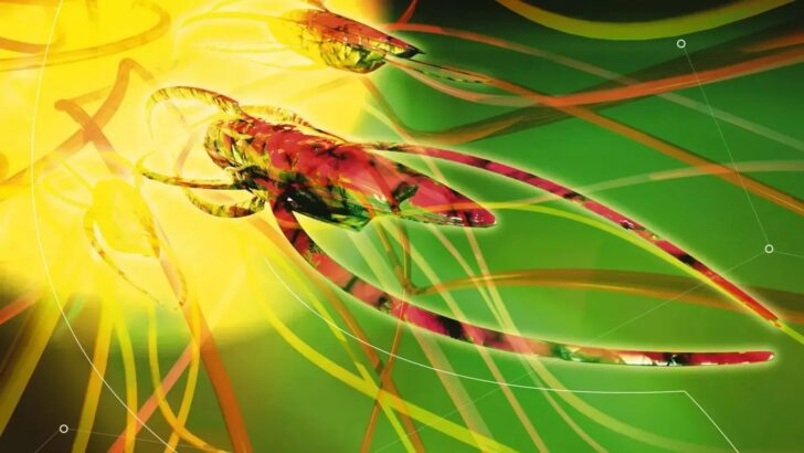 Scientists Find Evolution Exploded Into Overdrive After the Age of Dinosaurs Ended