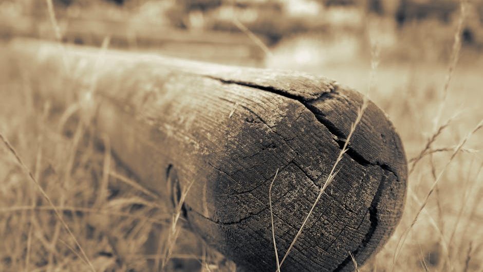 7 Household Conditions That Help Termites Thrive