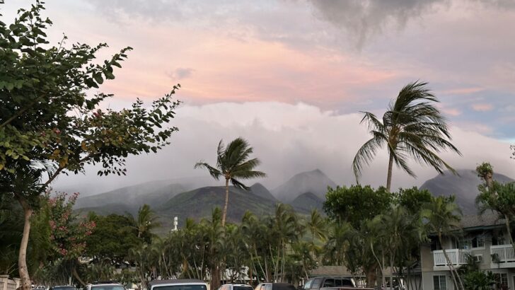 Evacuation Orders Lifted in Oahu But New Storm Threat Looms
