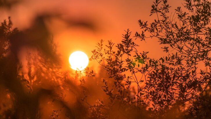 Houston Prepares for Midweek Heat Surge Ahead of Cooler Weekend