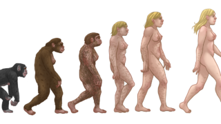 Scientists Found a Paradox in Evolution - and It May Become the Next Rule of Biology
