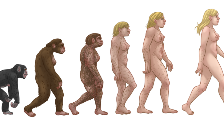 Scientists Found a Paradox in Evolution – and It May Become the Next Rule of Biology