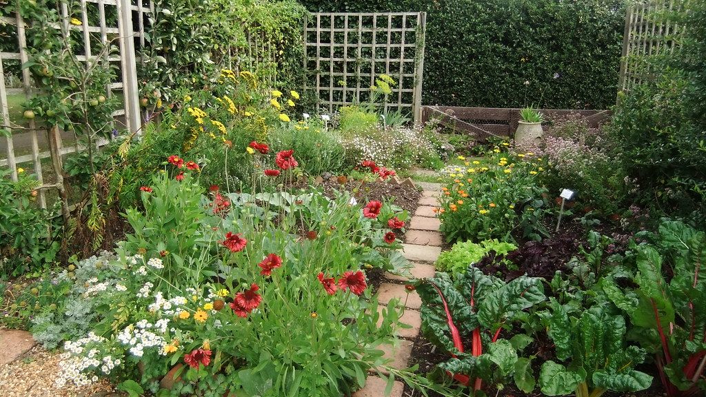 12 Practical Gardening Tips That Reduce Pests Naturally