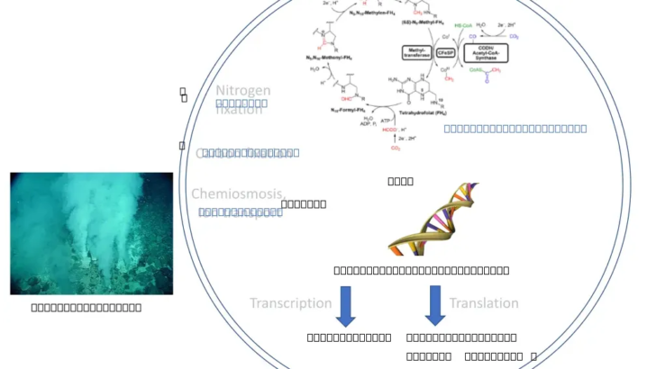 The Origin of All Life Points to One Common Ancestor That Mysteriously Vanished