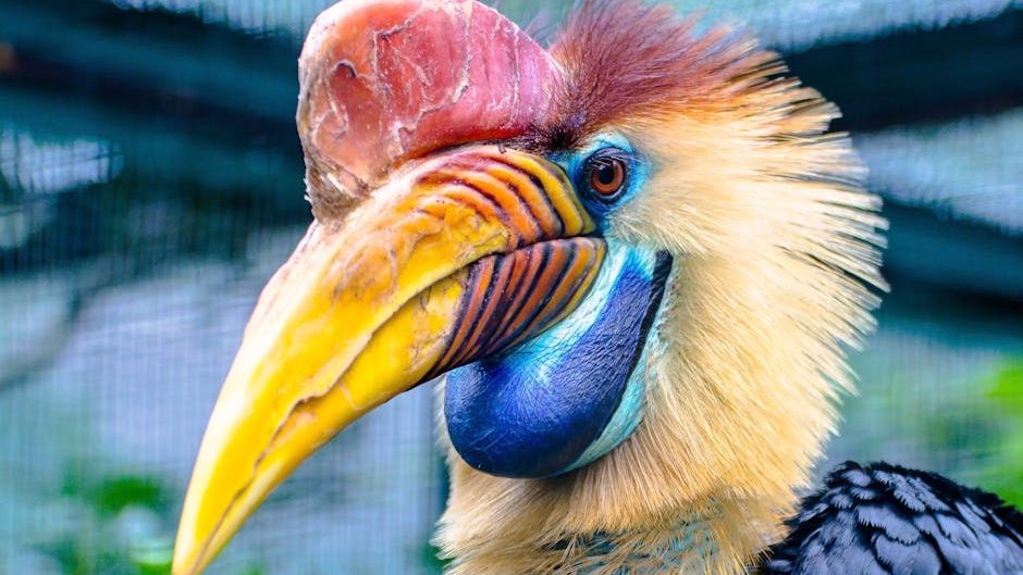 10 Weirdest Looking Birds You Never Knew Existed (Edited)