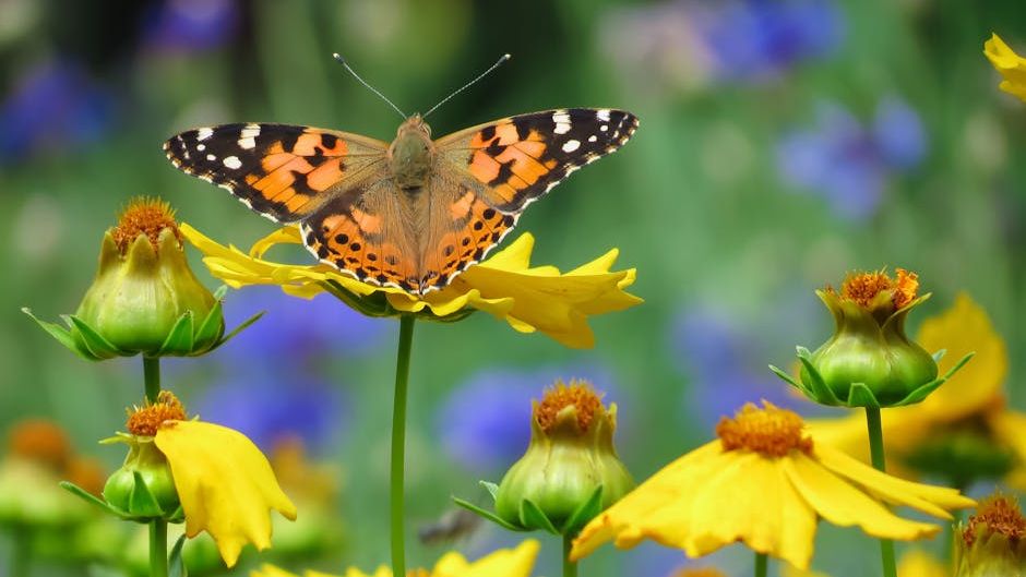 7 Simple Actions You Can Take to Support Local Pollinators
