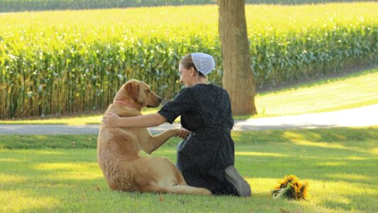 15 Dog Breeds That Are Excellent Companions for Seniors
