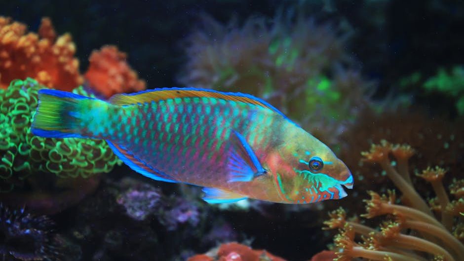15 Unbelievable Animal Facts That Will Make You Question Everything