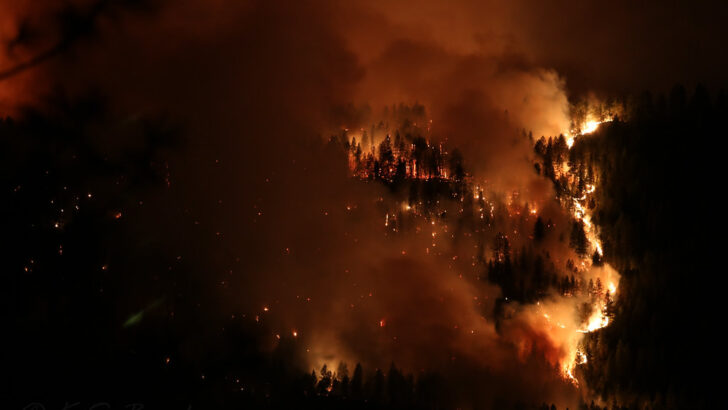 Washington State Faces Rising Wildfire Threat Amid Dry Conditions