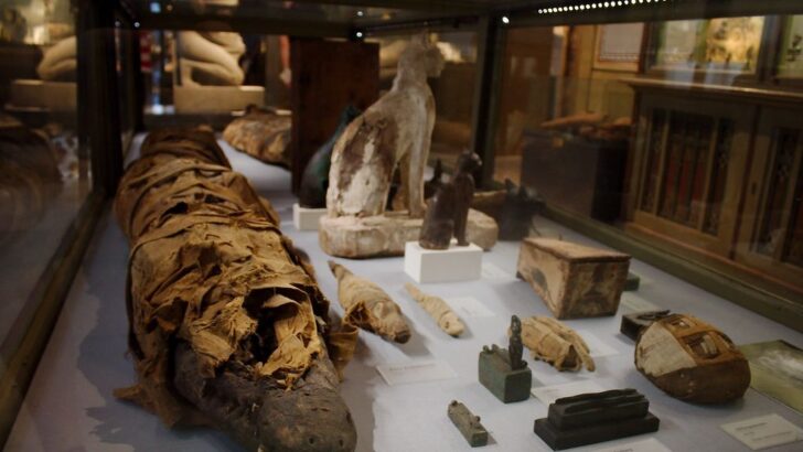 Newly Discovered Mummified Crocodile From Ancient Egypt Reveals 3,000-Year-Old Hidden Secrets