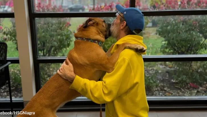 Cancer Survivor Reunites with Loyal Dog After 750 Days Apart