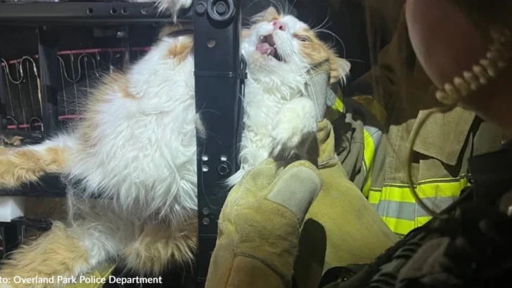 Dramatic Police Rescue Saves Cat Trapped Inside Recliner