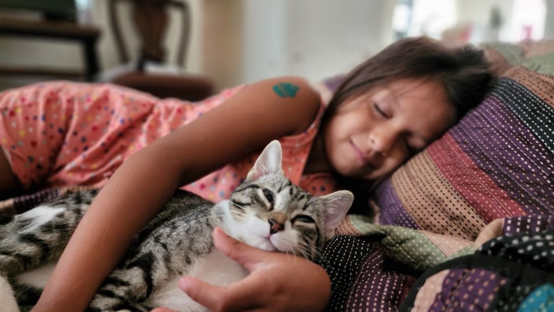 7 Surprising Benefits of Having a Cat in Your Home