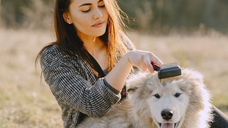 9 Best Natural Remedies for Fleas on Your Pets