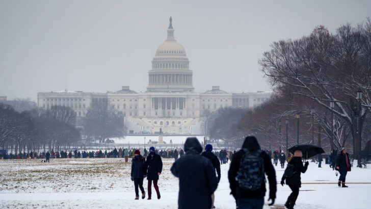 Freeze Alerts Issued as Temperatures Plunge Across DC Region