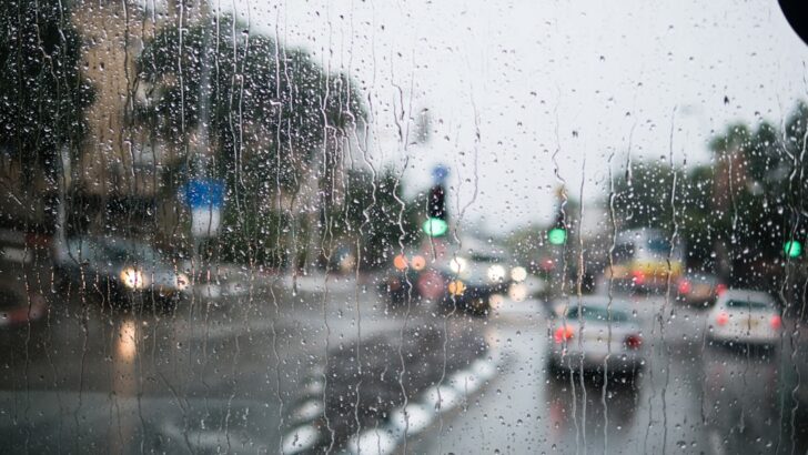 St. Louis Enjoys Midweek Warmth Before Friday Rain Arrives
