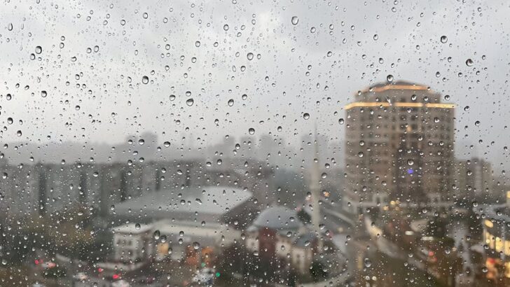 St. Louis Prepares for Breezy Warm-Up Ahead of Late-Day Showers