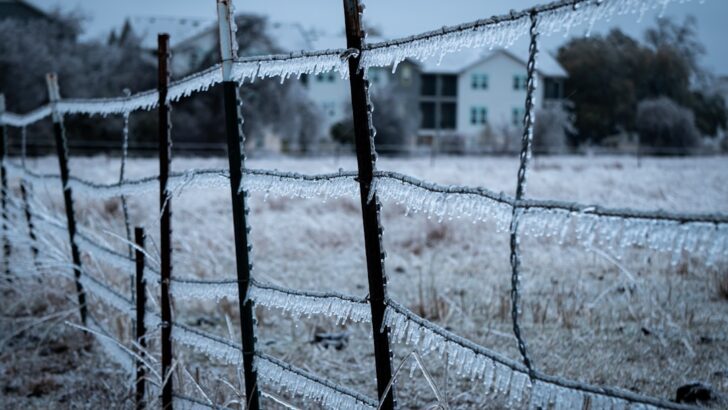 Sudden Cold Front Puts Texas on Freeze Alert